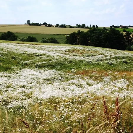 公寓 Im Frankenwald Küps